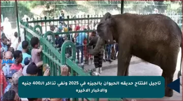 تأجيل افتتاح حديقة الحيوان بالجيزة في 2025 ونفي تذاكر الـ400 جنيه والأخبار الأخيرة